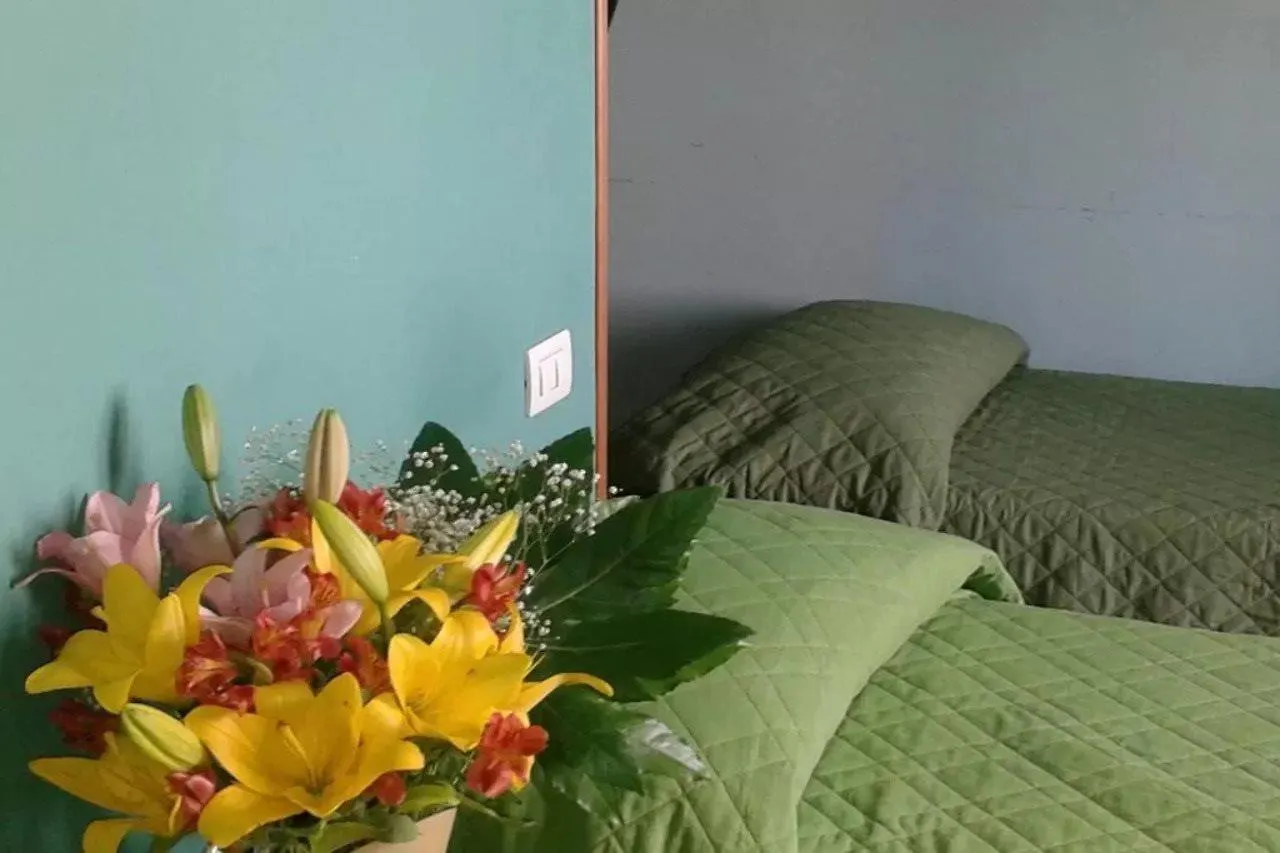 Bed and Breakfast Alenic Roma Bed & Breakfast